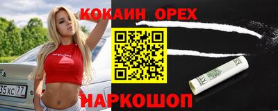 мдпв Кингисепп
