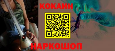мдпв Кингисепп