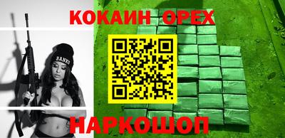 мдпв Кингисепп