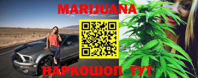мдпв Кингисепп
