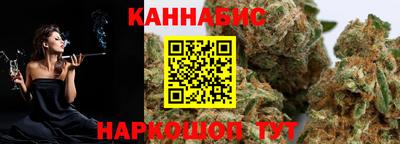 мдпв Кингисепп