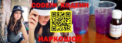 мдпв Кингисепп